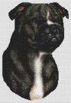 (image for) Black and White Staffordshire Terrier
